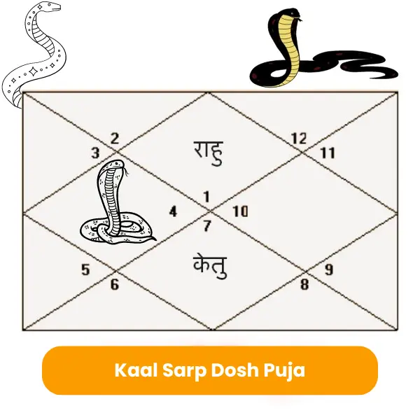 Kaal Sarp Dosh Puja